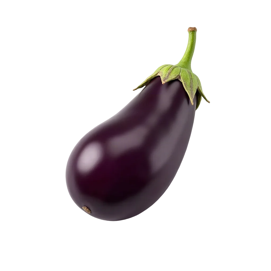 Patlıcan