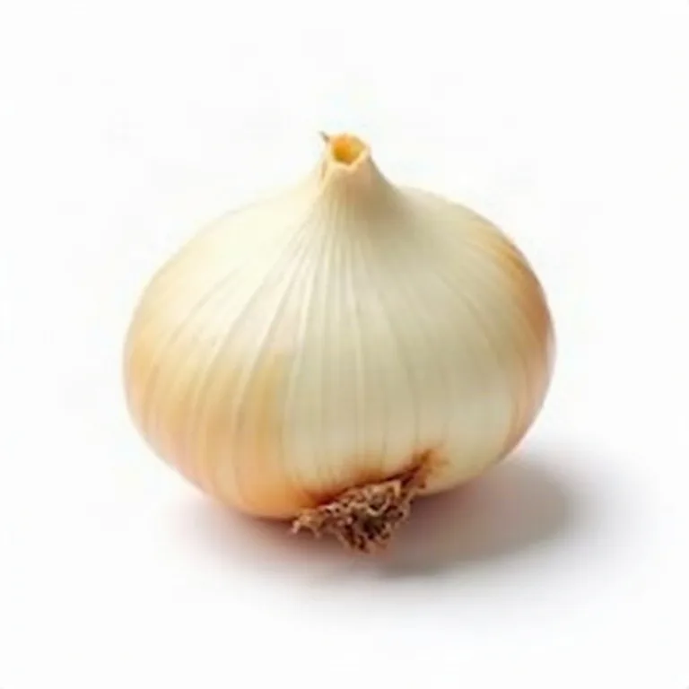 Kuru soğan